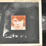Craig Scott - Craig Scott In MacArthur Park (Vinyl)