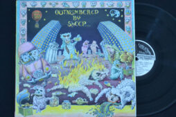 Various New Zealand Artists - Outnumbered By Sheep (Vinyl)