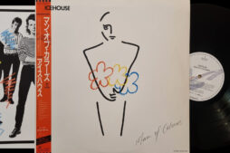 Icehouse - Man Of Colours (Vinyl) [Original Japanese Pressing]