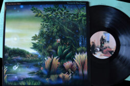 Fleetwood Mac - Tango In The Night (Vinyl) [Original Japanese Pressing]