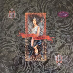Cher - Love Hurts (Vinyl)