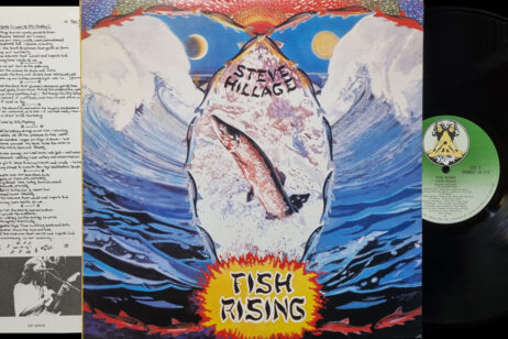 Steve Hillage - Fish Rising (Vinyl) [Japanese Pressing]