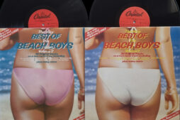 The Beach Boys - The Very Best Of The Beach Boys Volumes 1 & 2 (2LP Vinyl)